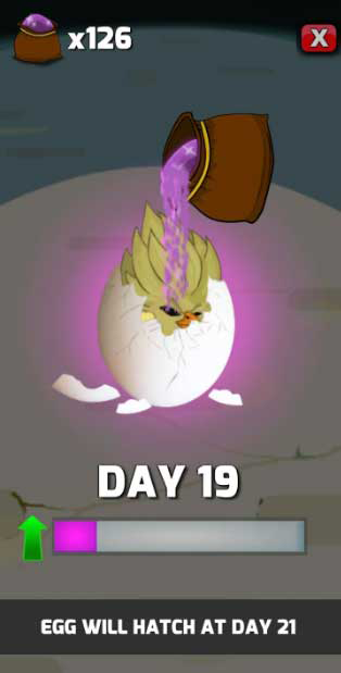 egg will hatch at day